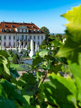 winzer-abend-weinprobe-sachsen-zittau