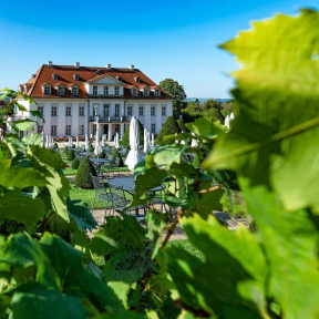 winzer-abend-weinprobe-sachsen-zittau