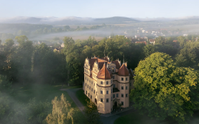 Luftaufnahme eines Schlosses Ein Schloss im Nebel umgeben von Bäumen bei Sonnenaufgang.