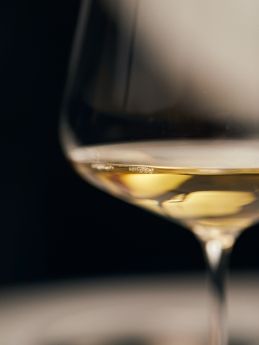 winzer-abend-weinprobe-sachsen-zittau