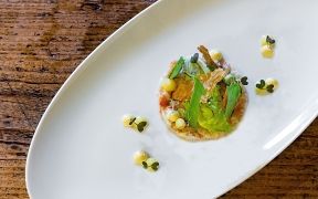 schlosshotel fine dining restaurant