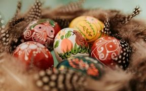 bianca ackermann cdWOVKUo4KI unsplash